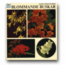 NYBLOM-HOLMBERG, GUNNEL: Blommande buskar